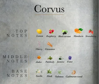 Perfume Ahli Corvus Parfum Original 60ml Para Mujer